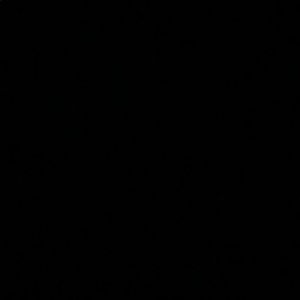 Meet your Posher, Benjamin